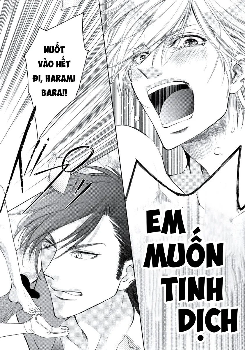 Full Bí Mật Của Hoa Hồng Harami Chapter 5 Trang 24