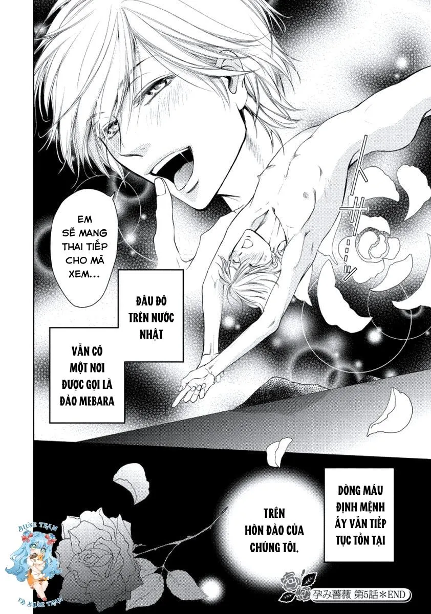 Full Bí Mật Của Hoa Hồng Harami Chapter 5 Trang 26