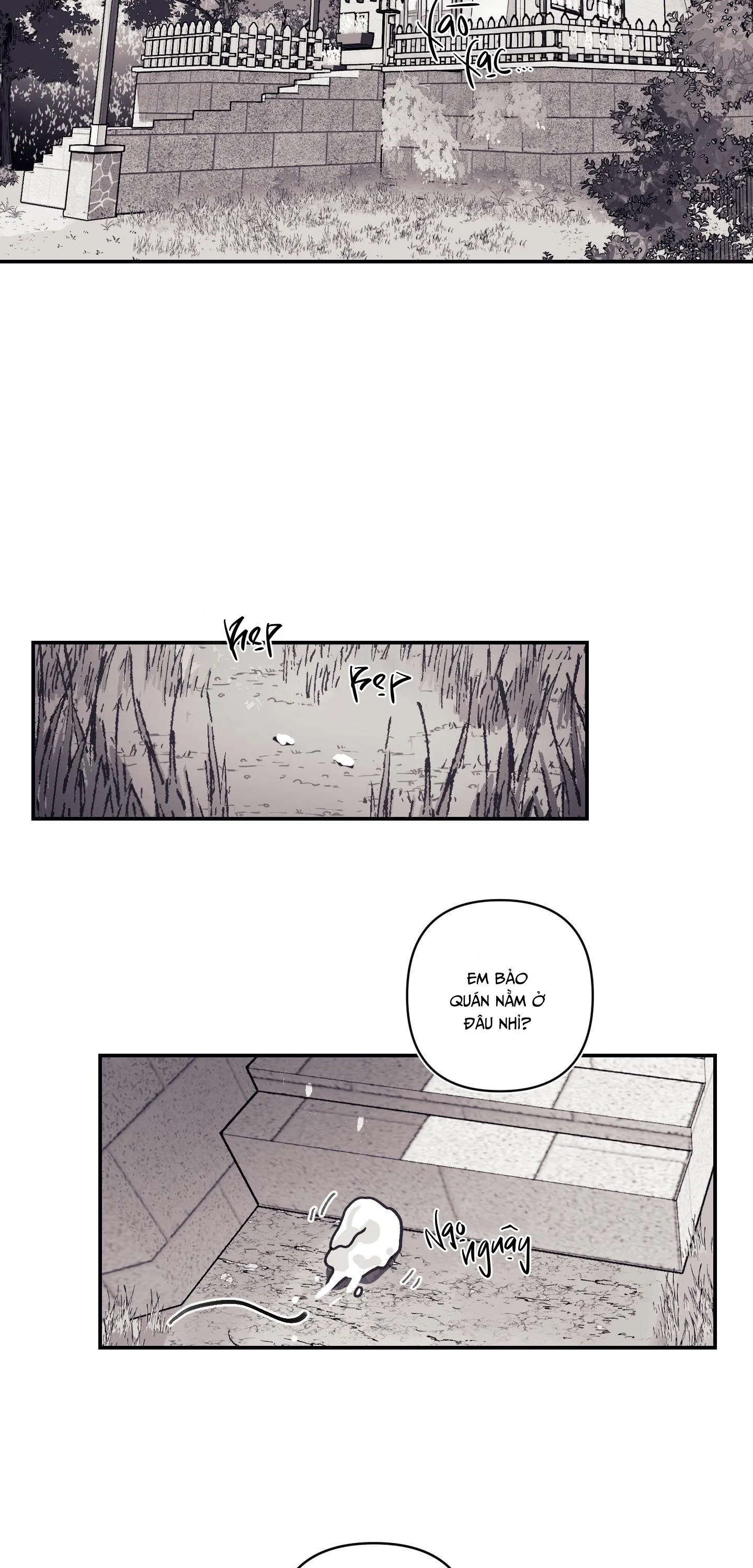 BÍ MẬT CỦA KAYCE Chapter 1 Trang 5