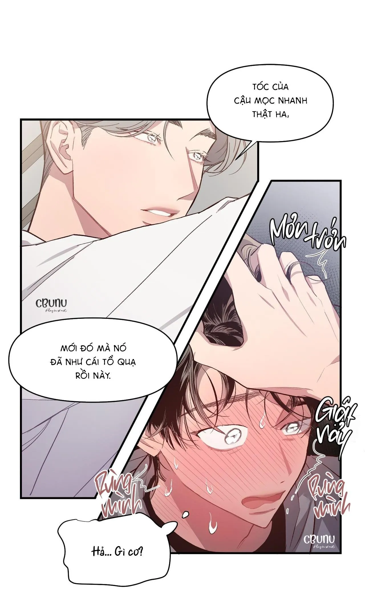 Bí Mật Của Mái Tóc Chapter 3 Trang 22