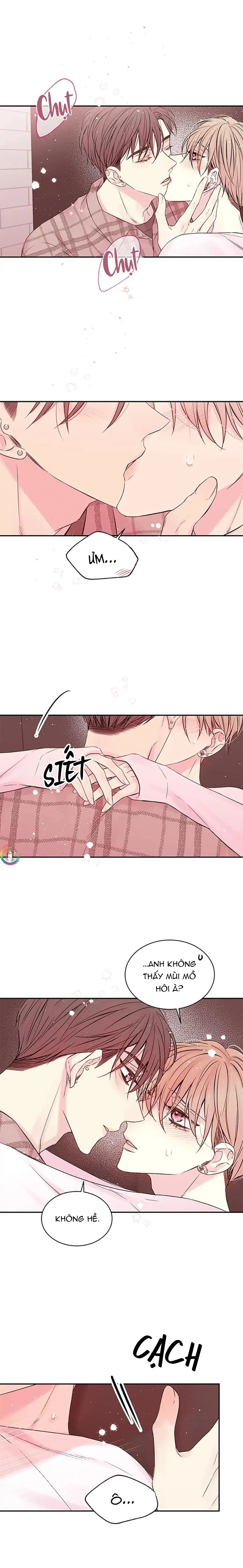 (END) Bí Mật Của Tôi Chapter 50 Trang 13