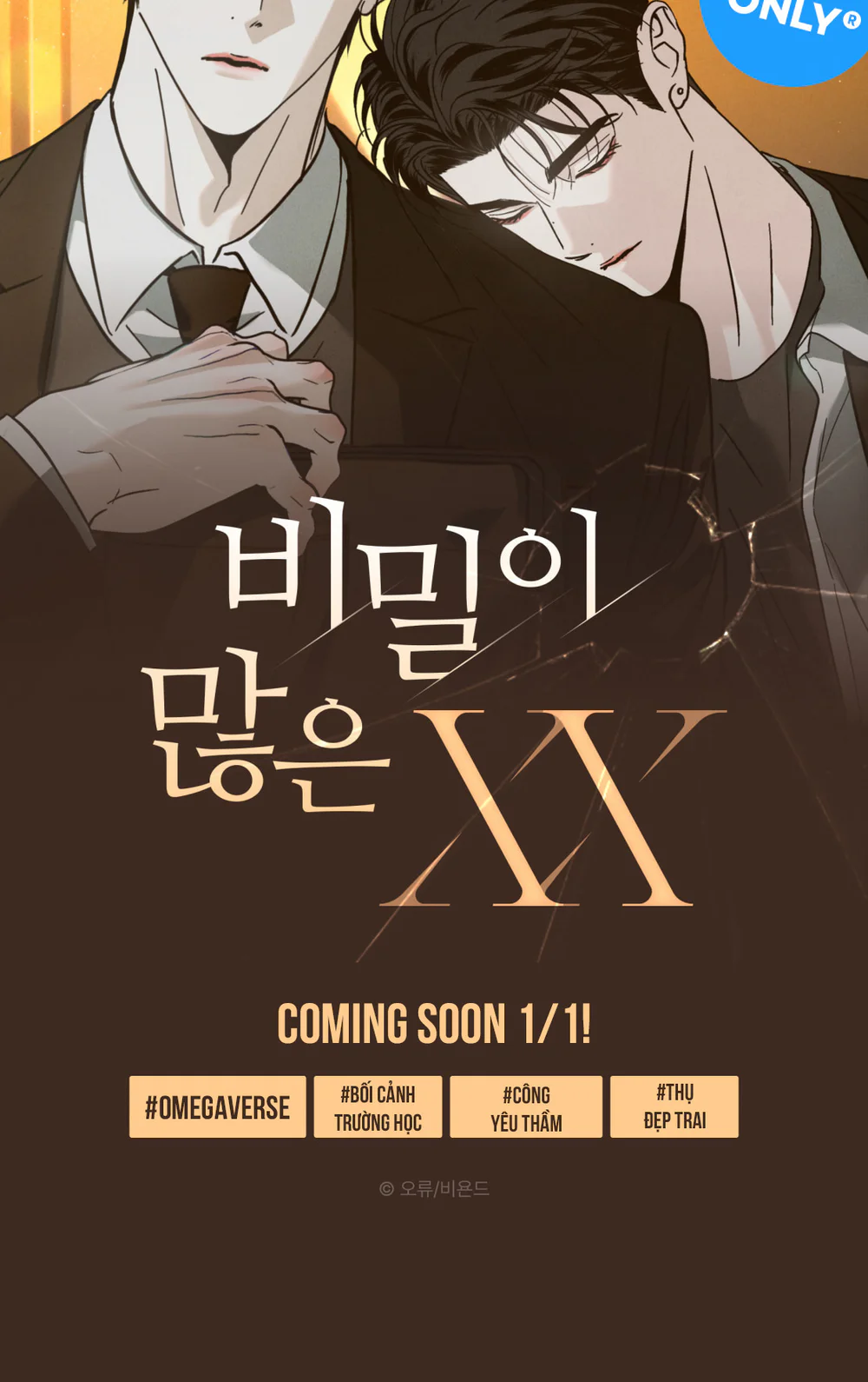 BÍ MẬT CỦA XX Chapter 0 Trang 11