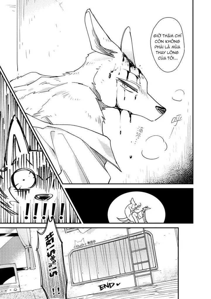 Bí mật ở căn phòng 701 Chapter 2 Trang 17