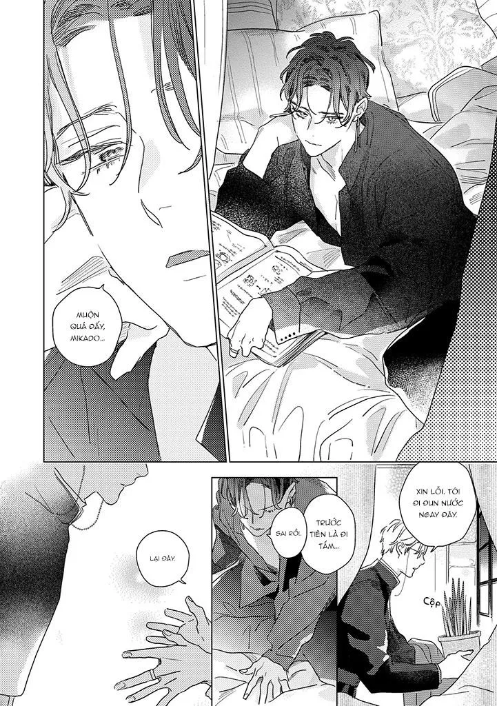 BÍ MẬT THẦM LẶNG GIỮA VÀNG VÀ BẠC LÀ MÀN ĐÊM Chapter 1 Trang 14