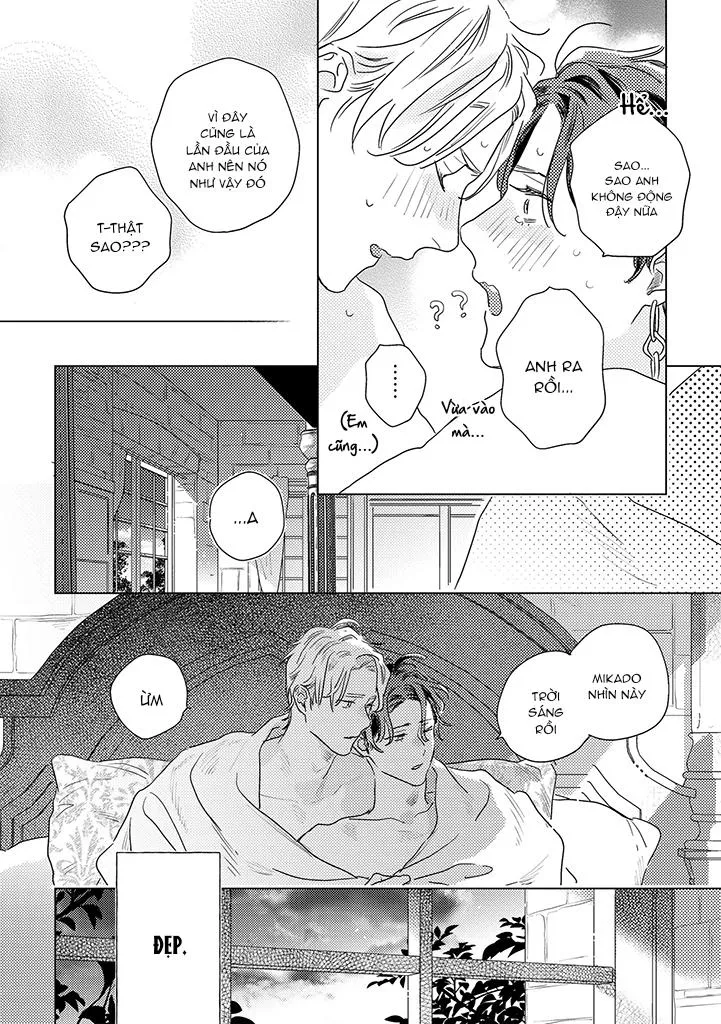 BÍ MẬT THẦM LẶNG GIỮA VÀNG VÀ BẠC LÀ MÀN ĐÊM Chapter 10 Trang 14