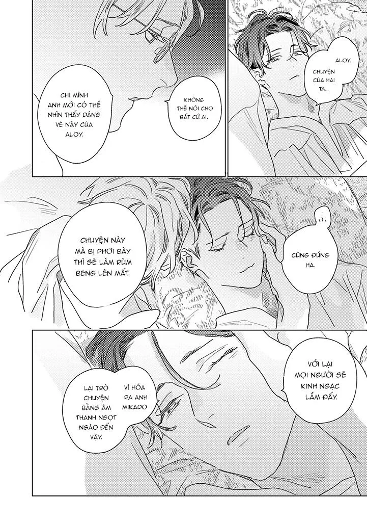 BÍ MẬT THẦM LẶNG GIỮA VÀNG VÀ BẠC LÀ MÀN ĐÊM Chapter 2 Trang 13