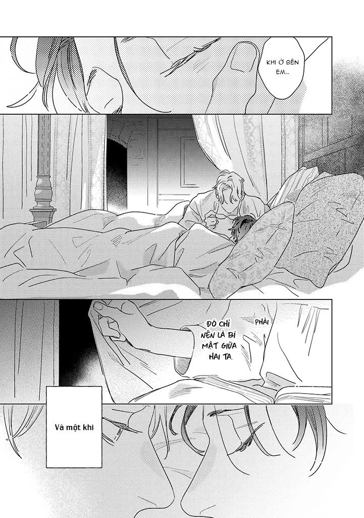 BÍ MẬT THẦM LẶNG GIỮA VÀNG VÀ BẠC LÀ MÀN ĐÊM Chapter 2 Trang 14
