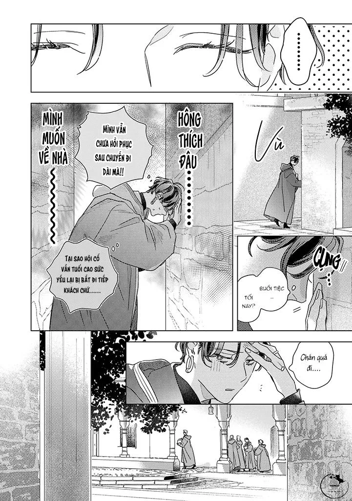 BÍ MẬT THẦM LẶNG GIỮA VÀNG VÀ BẠC LÀ MÀN ĐÊM Chapter 3 Trang 8