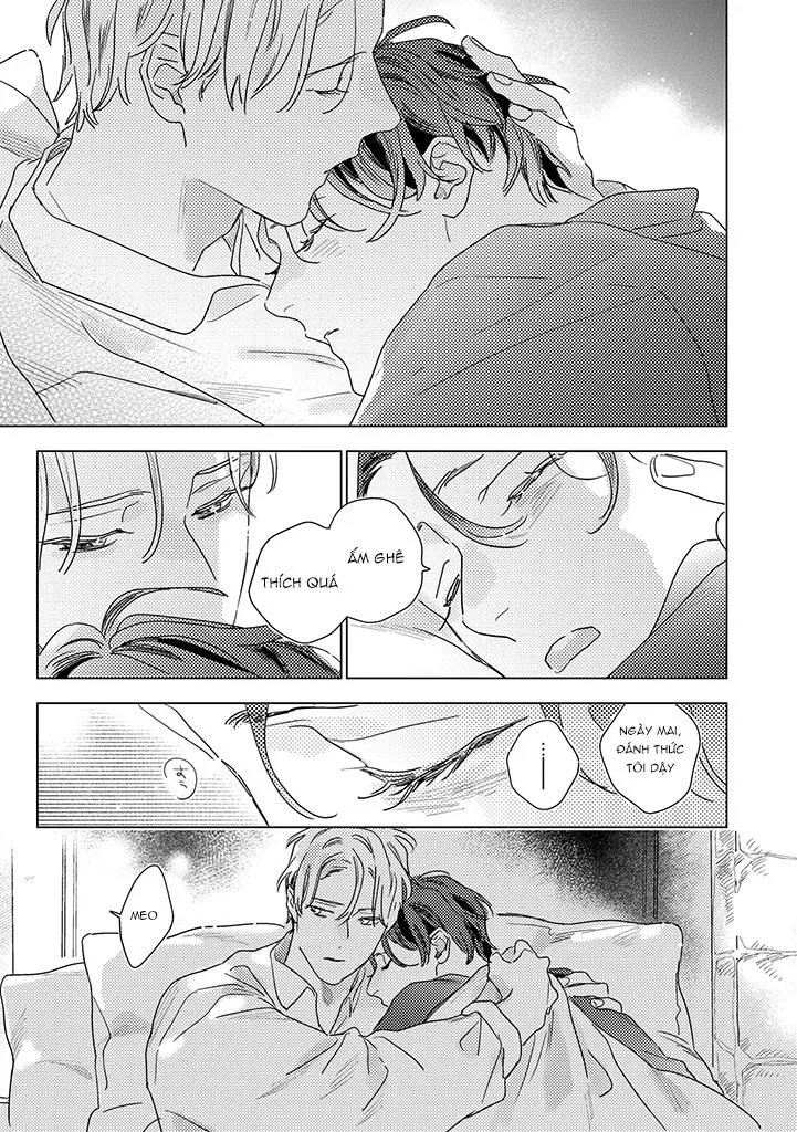 BÍ MẬT THẦM LẶNG GIỮA VÀNG VÀ BẠC LÀ MÀN ĐÊM Chapter 4 Trang 14