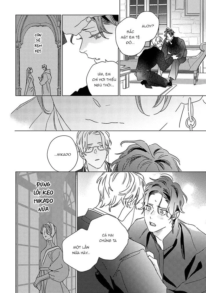 BÍ MẬT THẦM LẶNG GIỮA VÀNG VÀ BẠC LÀ MÀN ĐÊM Chapter 8 Trang 13