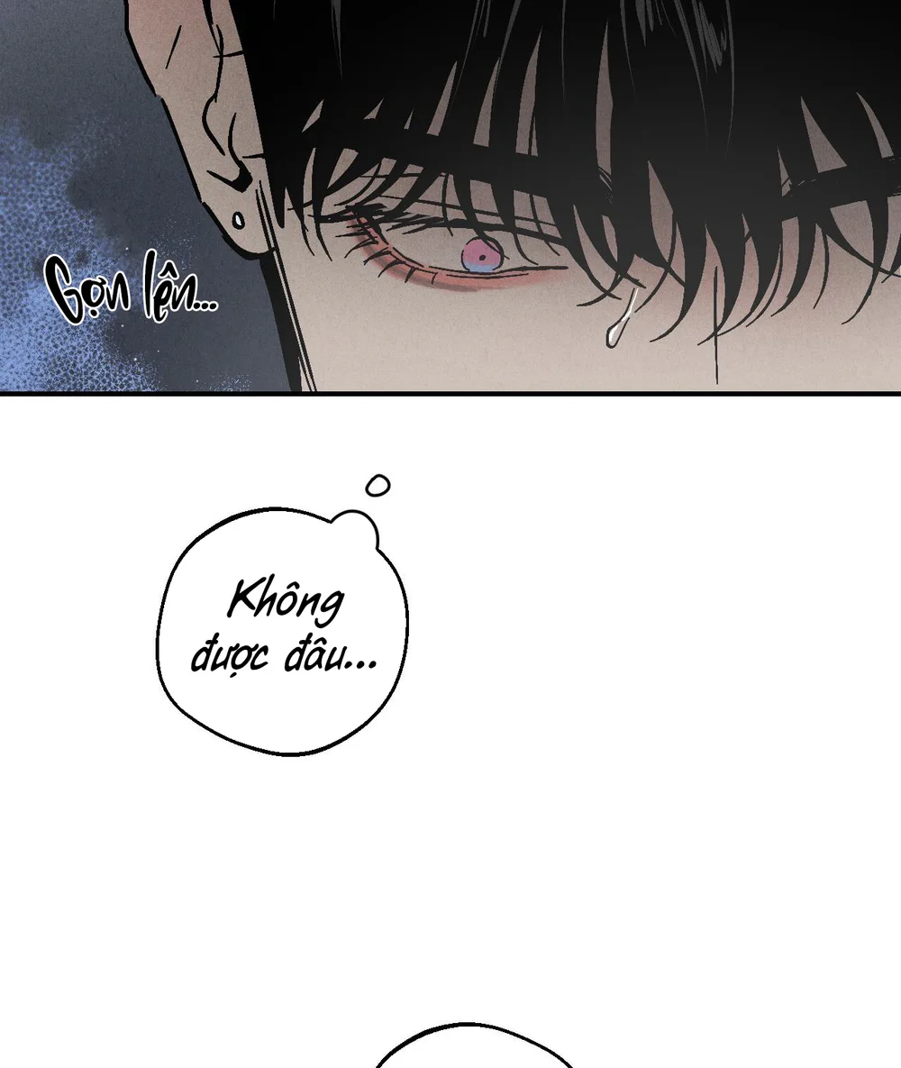 Bí Mật XX Chapter 5 Trang 19