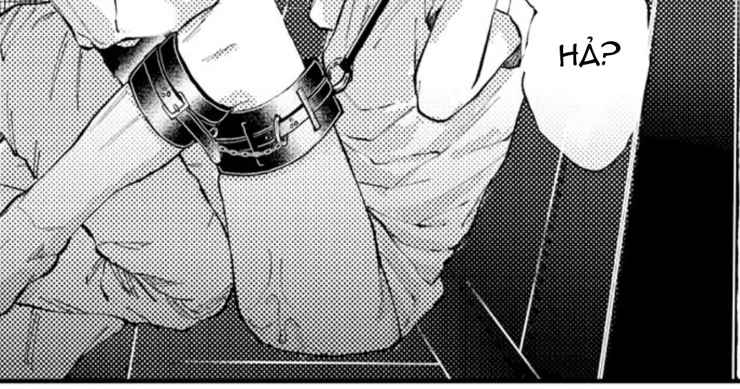 Bị Tán Tỉnh Bởi Chàng Trai Lập Dị Chapter 11 Trang 65