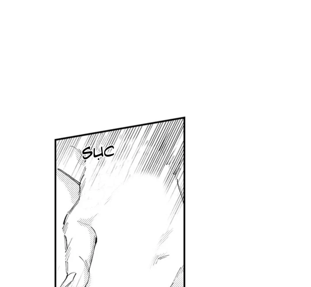 Bị Tán Tỉnh Bởi Chàng Trai Lập Dị Chapter 19 Trang 38