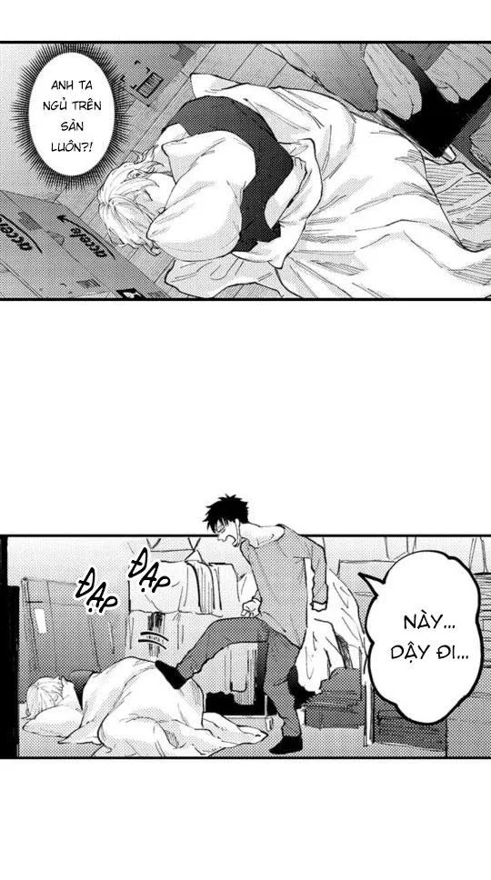 Bị Tán Tỉnh Bởi Chàng Trai Lập Dị Chapter 24 Trang 12