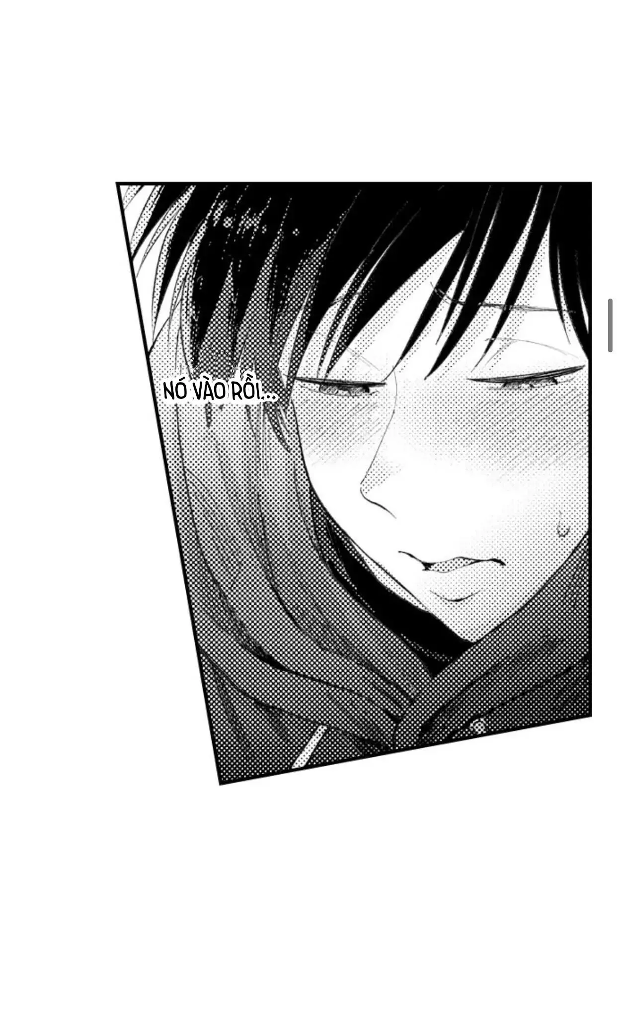 Bị Tán Tỉnh Bởi Chàng Trai Lập Dị Chapter 41 Trang 10