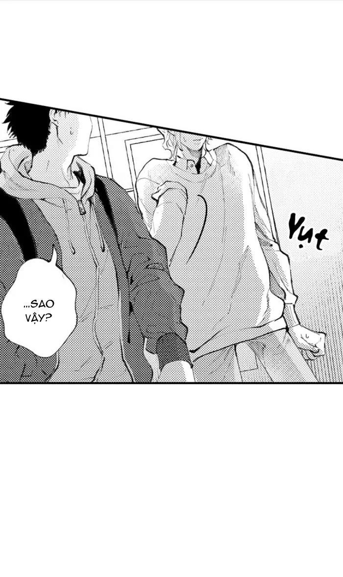 Bị Tán Tỉnh Bởi Chàng Trai Lập Dị Chapter 43 Trang 10