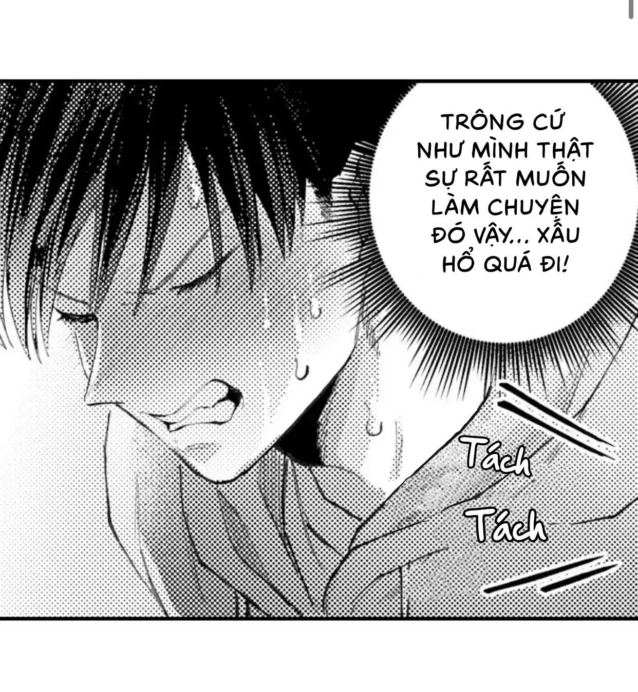 Bị Tán Tỉnh Bởi Chàng Trai Lập Dị Chapter 44 Trang 4