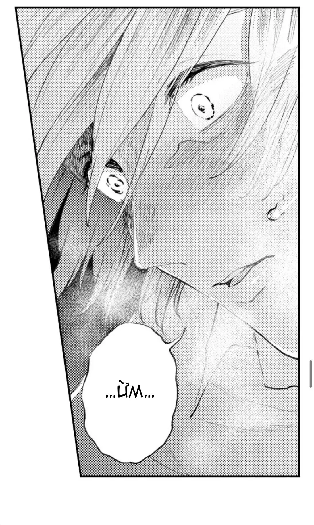 Bị Tán Tỉnh Bởi Chàng Trai Lập Dị Chapter 44 Trang 31