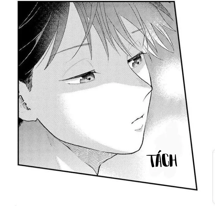 Bị Tán Tỉnh Bởi Chàng Trai Lập Dị Chapter 57 Trang 8