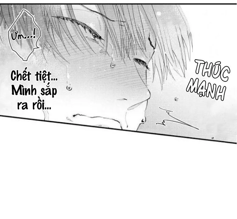 Bị Tán Tỉnh Bởi Chàng Trai Lập Dị Chapter 64 Trang 8