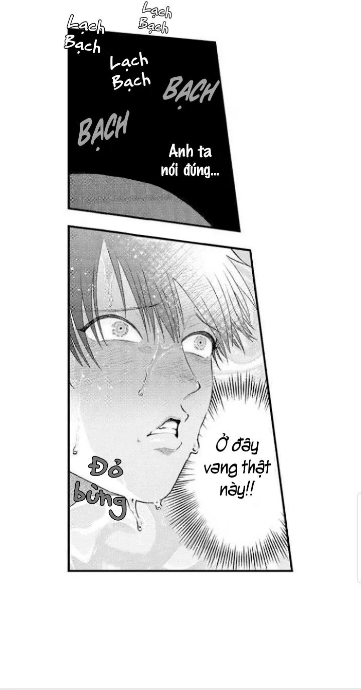 Bị Tán Tỉnh Bởi Chàng Trai Lập Dị Chapter 64 Trang 14
