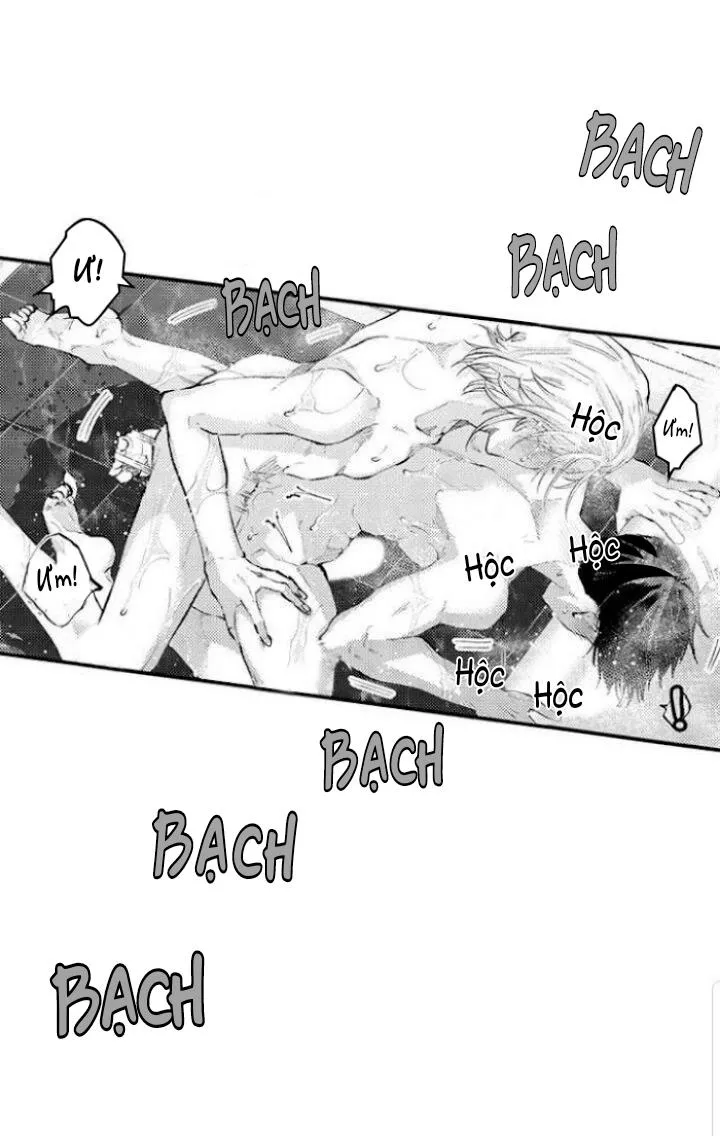 Bị Tán Tỉnh Bởi Chàng Trai Lập Dị Chapter 64 Trang 17