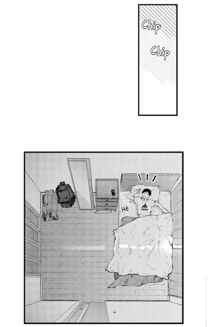 Bị Tán Tỉnh Bởi Chàng Trai Lập Dị Chapter 64 Trang 32