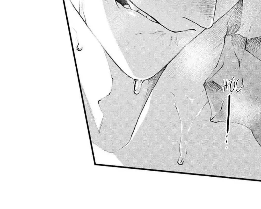 Bị Tán Tỉnh Bởi Chàng Trai Lập Dị Chapter 81 Trang 6