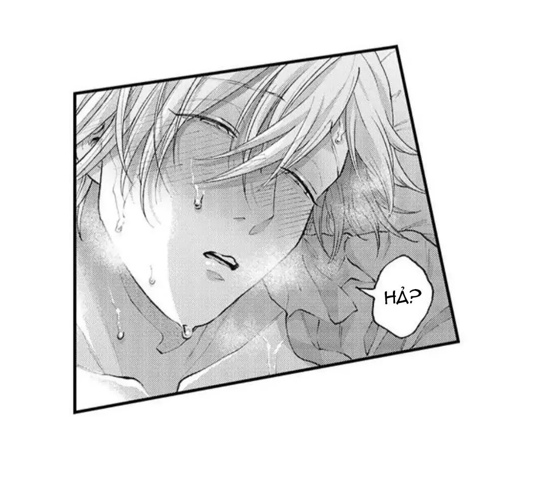 Bị Tán Tỉnh Bởi Chàng Trai Lập Dị Chapter 81 Trang 14