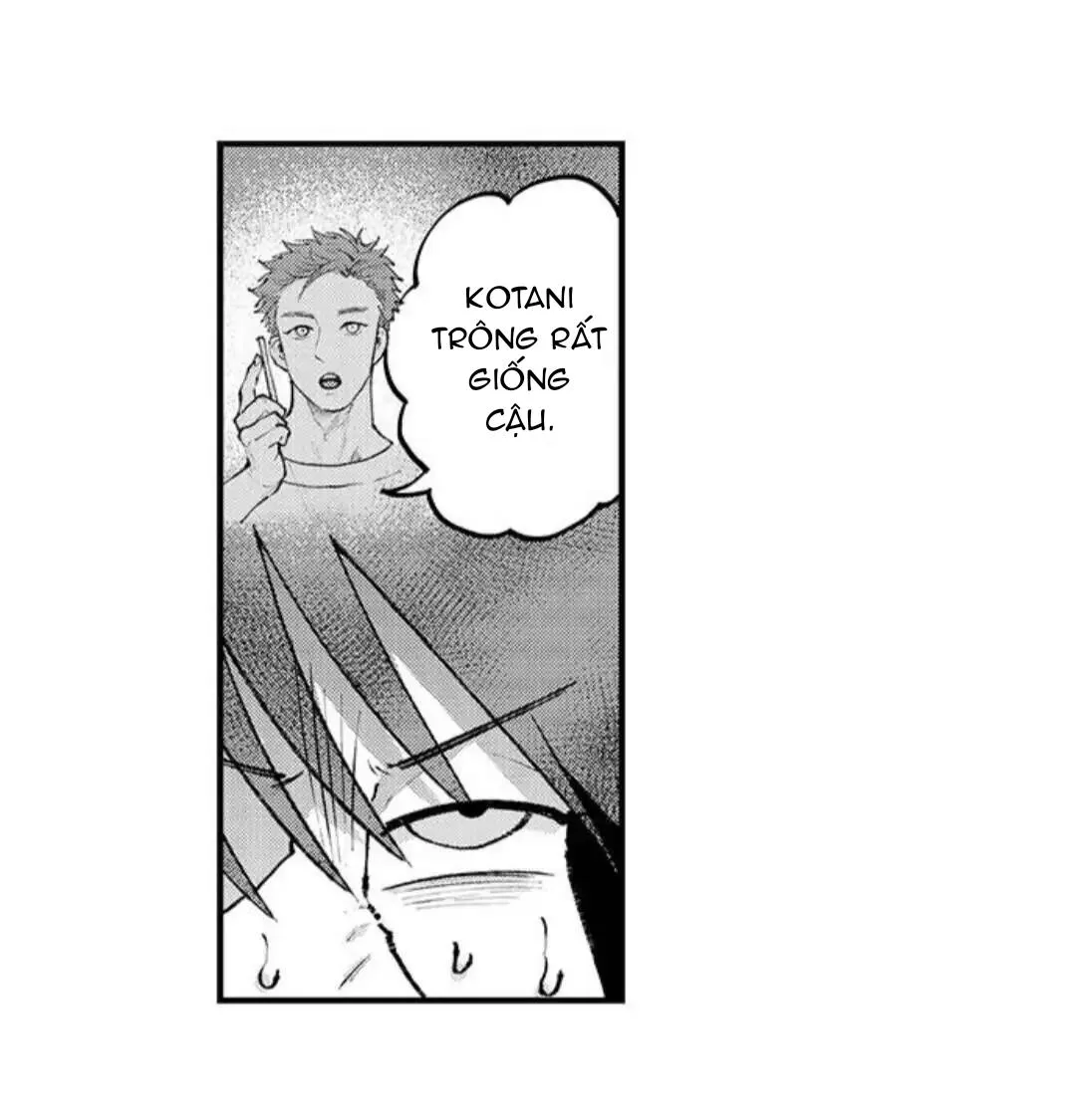 Bị Tán Tỉnh Bởi Chàng Trai Lập Dị Chapter 82 Trang 12
