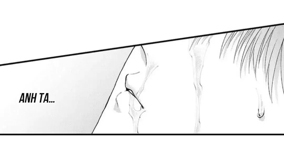 Bị Tán Tỉnh Bởi Chàng Trai Lập Dị Chapter 84 Trang 14