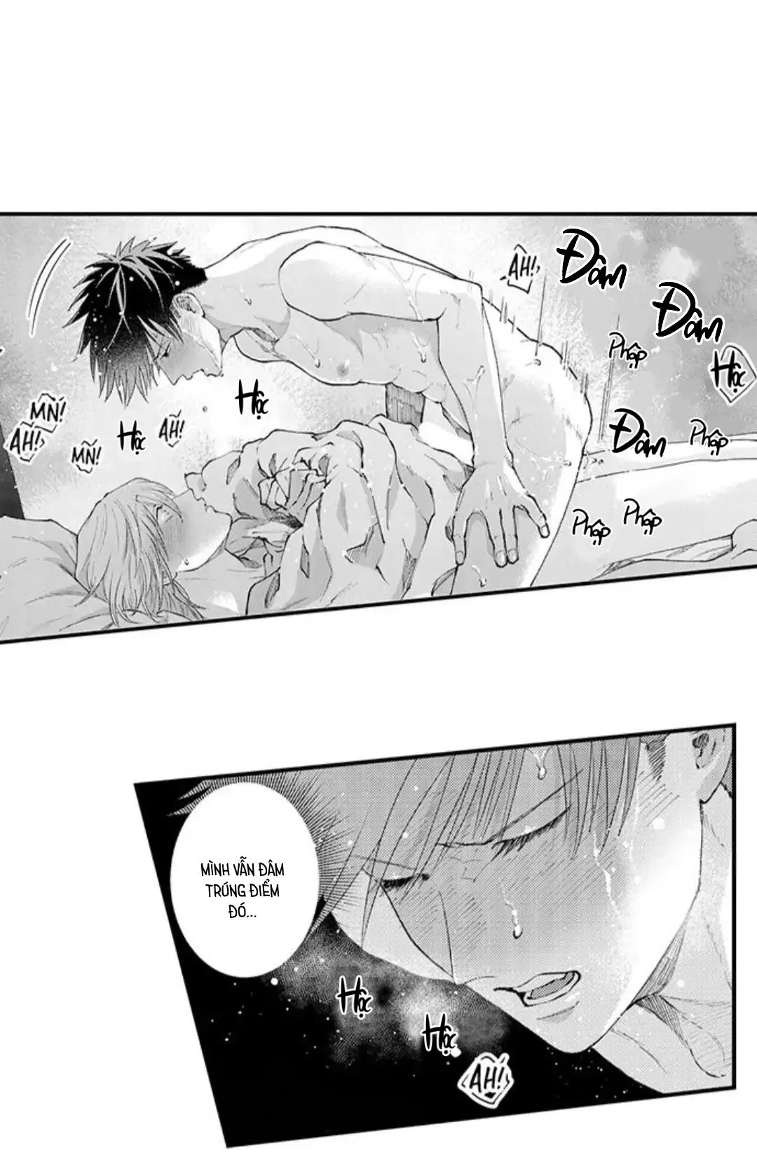 Bị Tán Tỉnh Bởi Chàng Trai Lập Dị Chapter 90 Trang 11