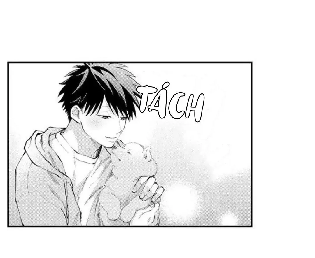 Bị Tán Tỉnh Bởi Chàng Trai Lập Dị Chapter 97 Trang 5