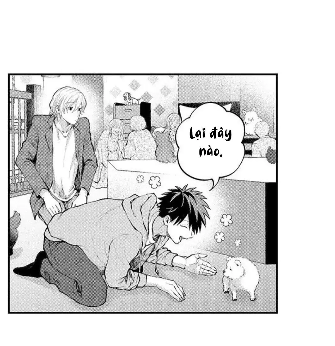 Bị Tán Tỉnh Bởi Chàng Trai Lập Dị Chapter 97 Trang 23