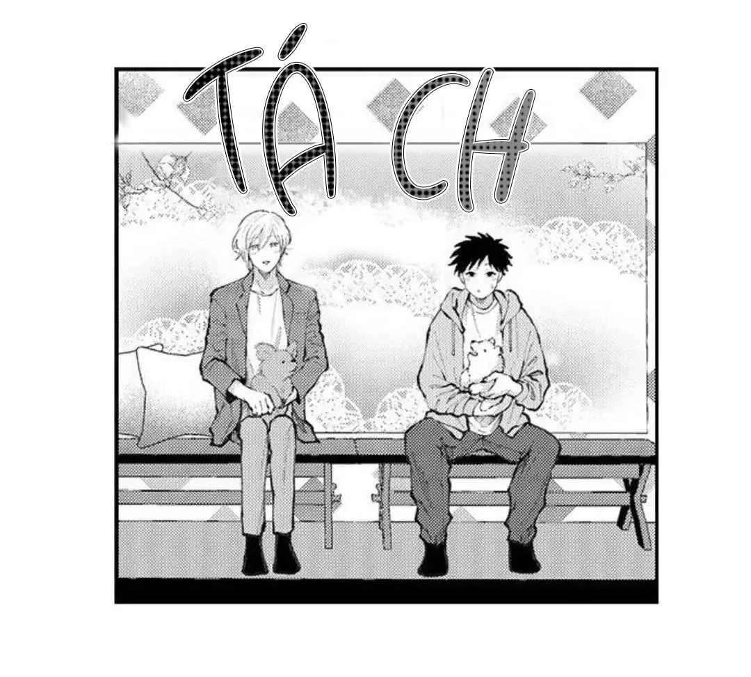 Bị Tán Tỉnh Bởi Chàng Trai Lập Dị Chapter 97 Trang 33