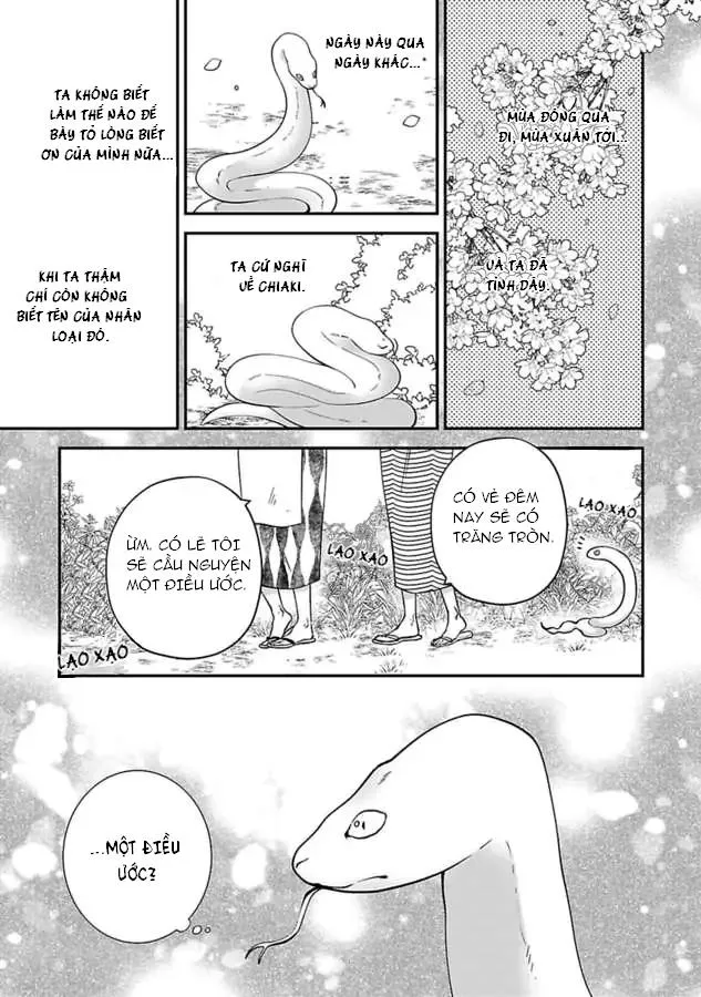 Bị Theo Đuổi Bởi Quái Vật Và Thần Rắn Chapter 3 Trang 18