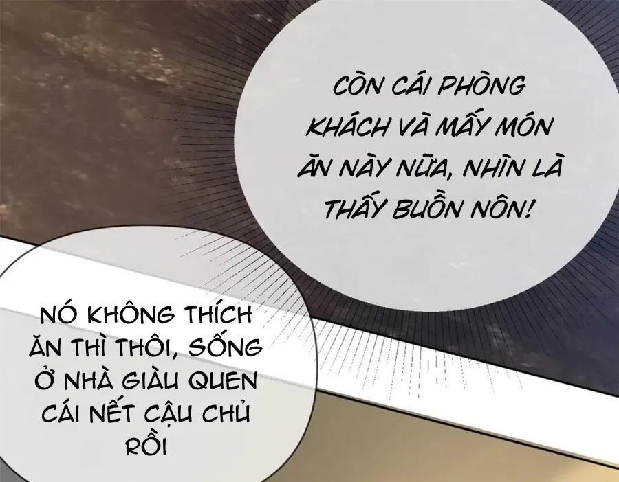 Bị Vạn Người Anti, Sống Lại Tôi Hot Khắp Internet Chapter 104 Trang 41