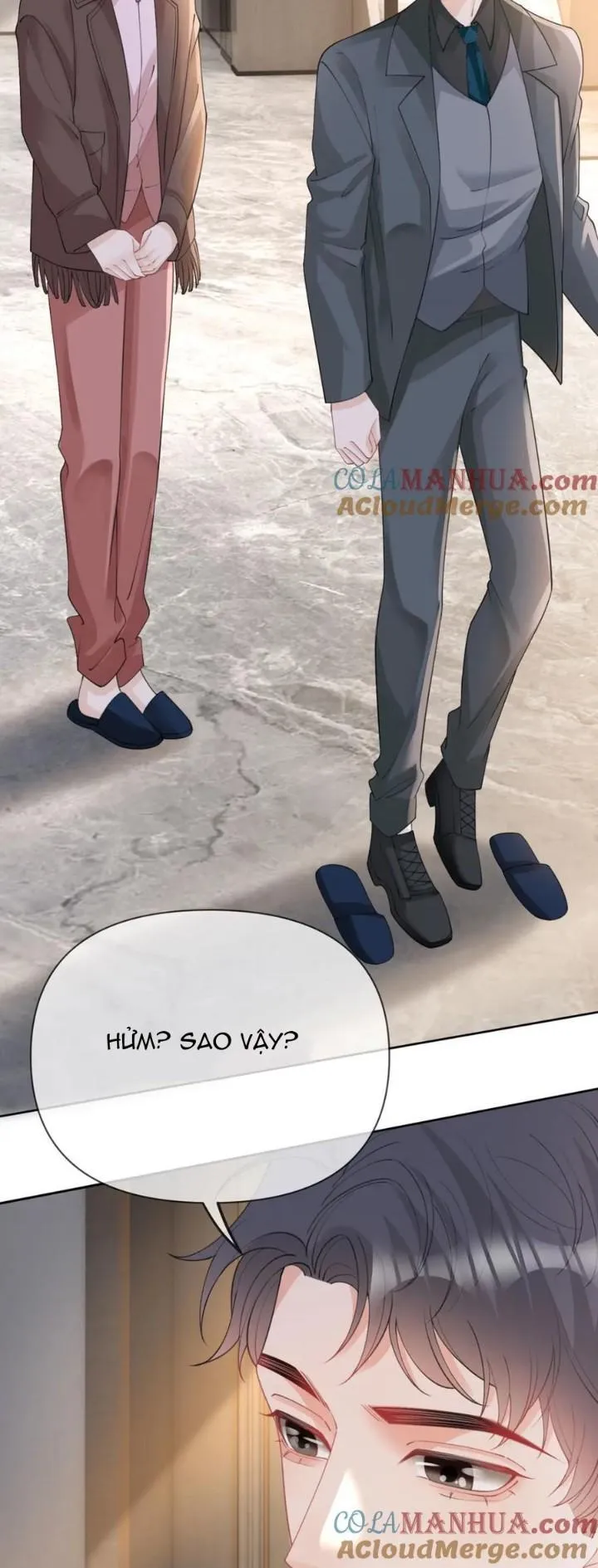 Bị Vạn Người Anti, Sống Lại Tôi Hot Khắp Internet Chapter 95 Trang 7