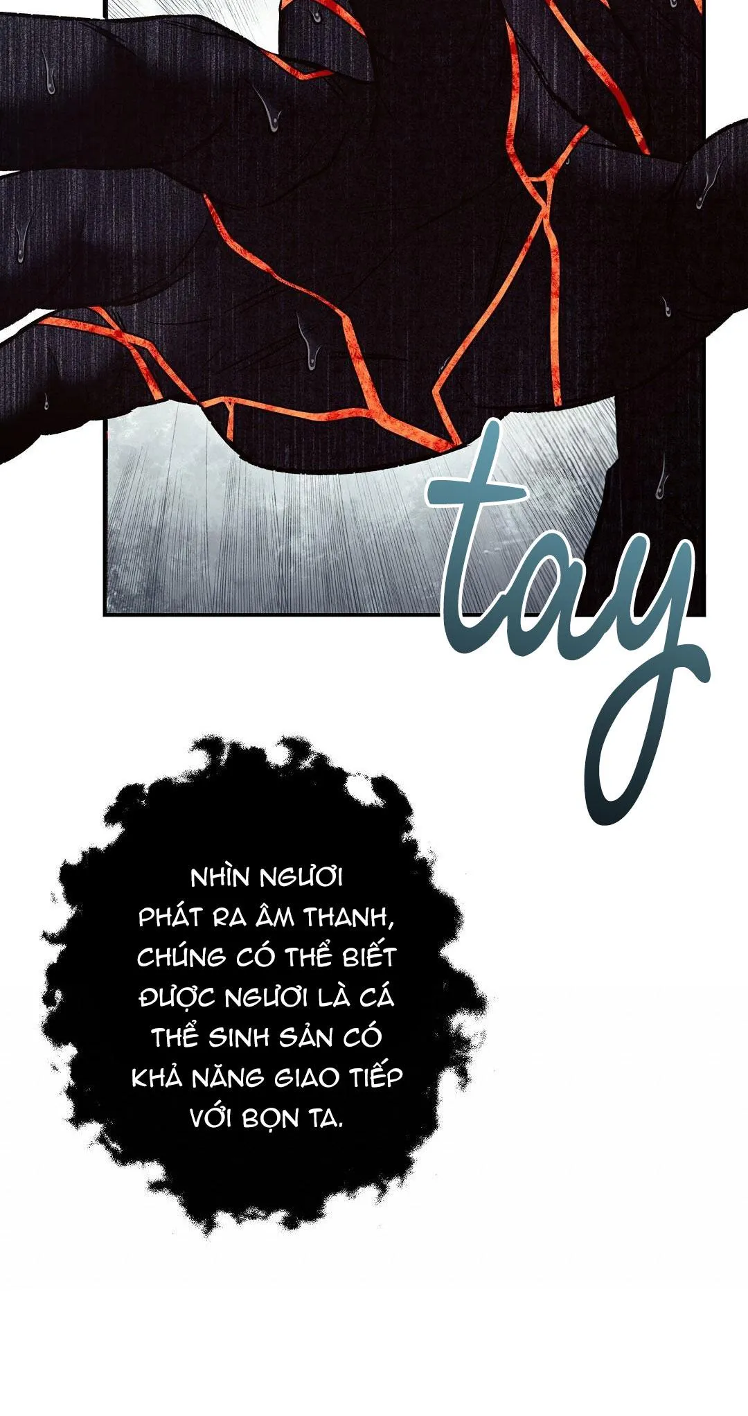 BIỂN ĐỎ Chapter 10 Trang 56