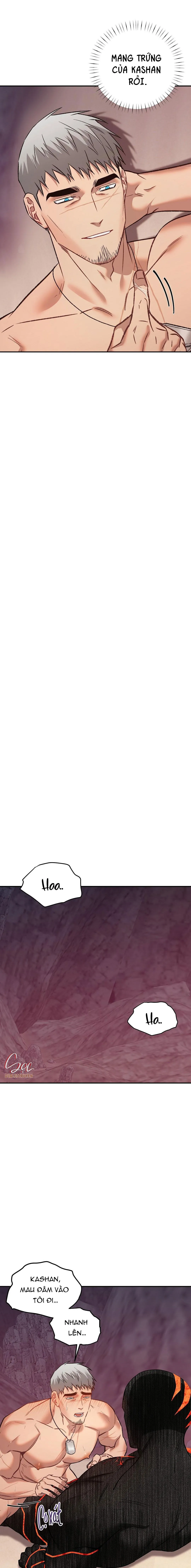 BIỂN ĐỎ Chapter 12 Trang 19