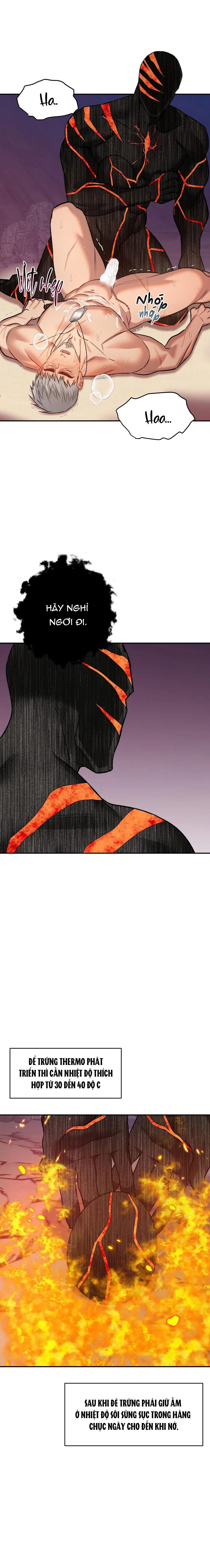 BIỂN ĐỎ Chapter 13 Trang 12