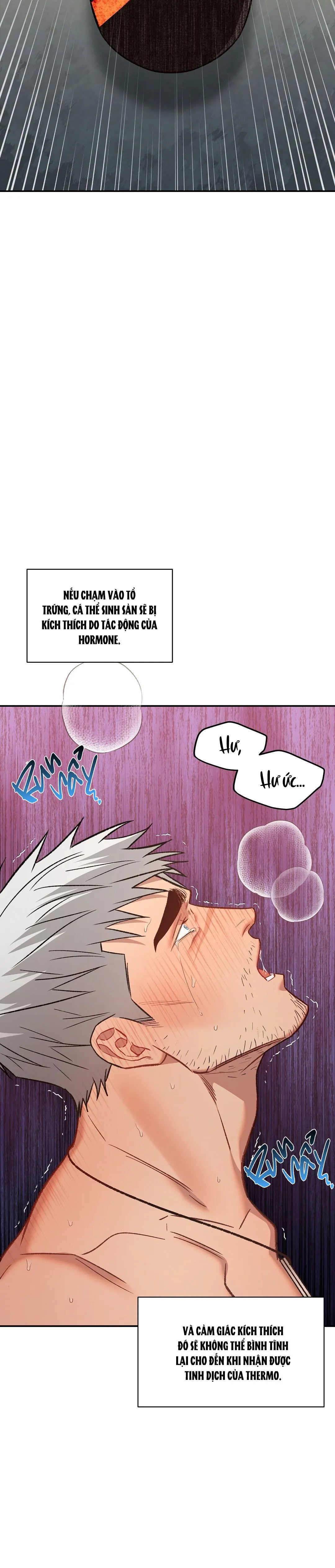 BIỂN ĐỎ Chapter 7 Trang 4