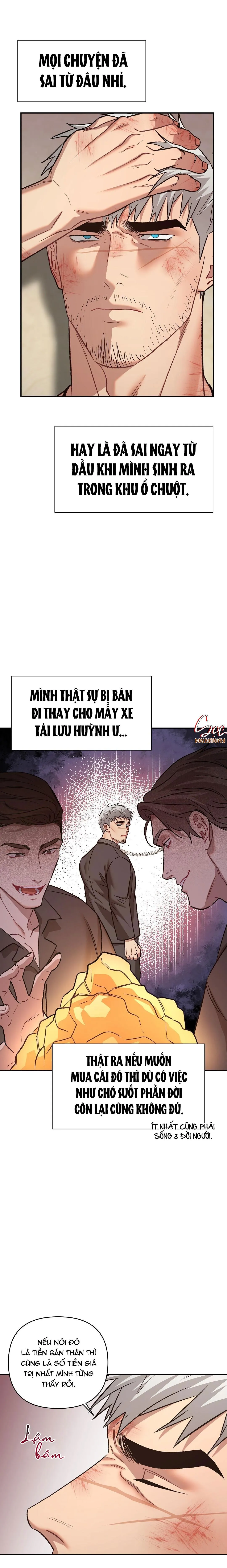 BIỂN ĐỎ Chapter 8 Trang 17