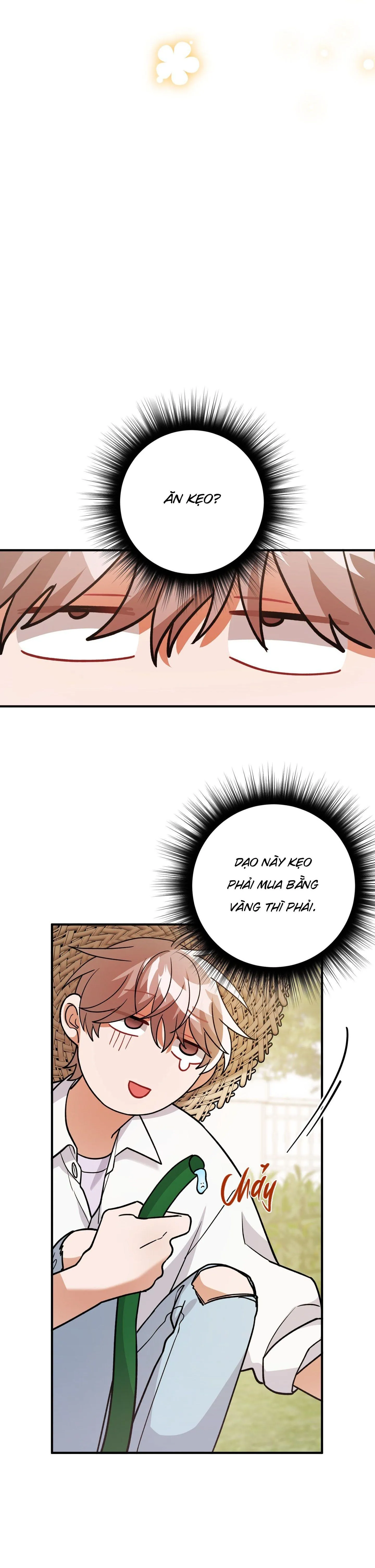 [DROP] BIỆT THỰ HOA HỒNG CỦA ANH DO DO HOON Chapter 8 Trang 16