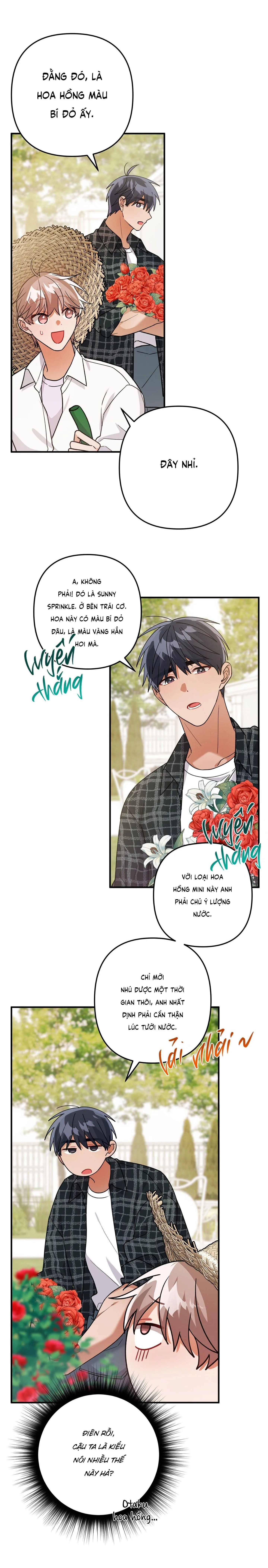 [DROP] BIỆT THỰ HOA HỒNG CỦA ANH DO DO HOON Chapter 8 Trang 19