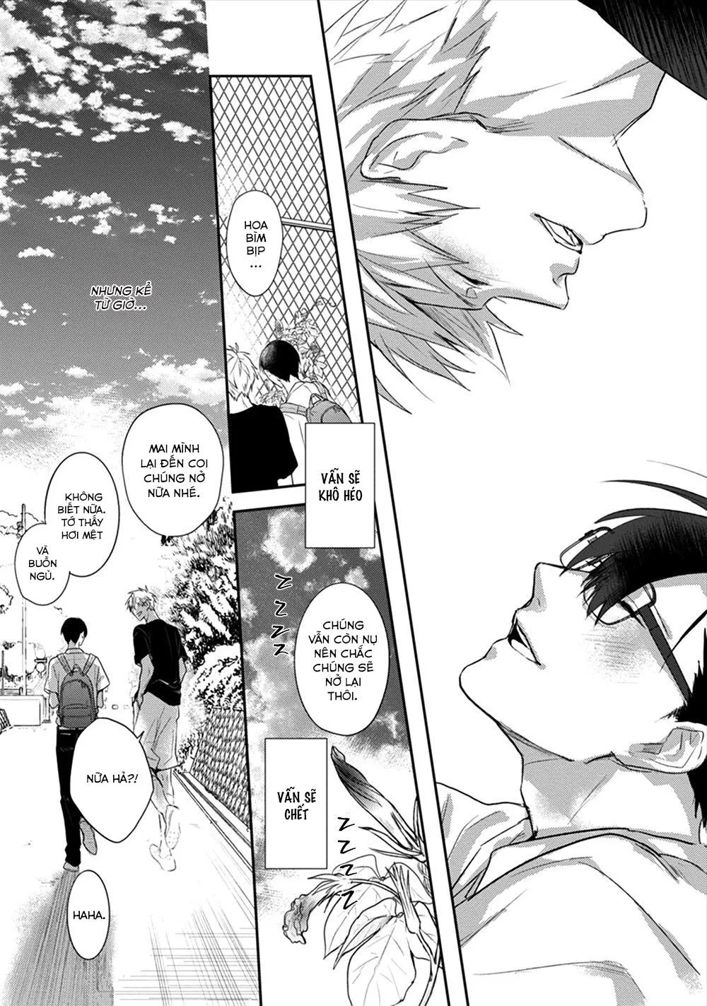 Bìm Bịp Nở Vào Ban Đêm Chapter 2 Trang 28