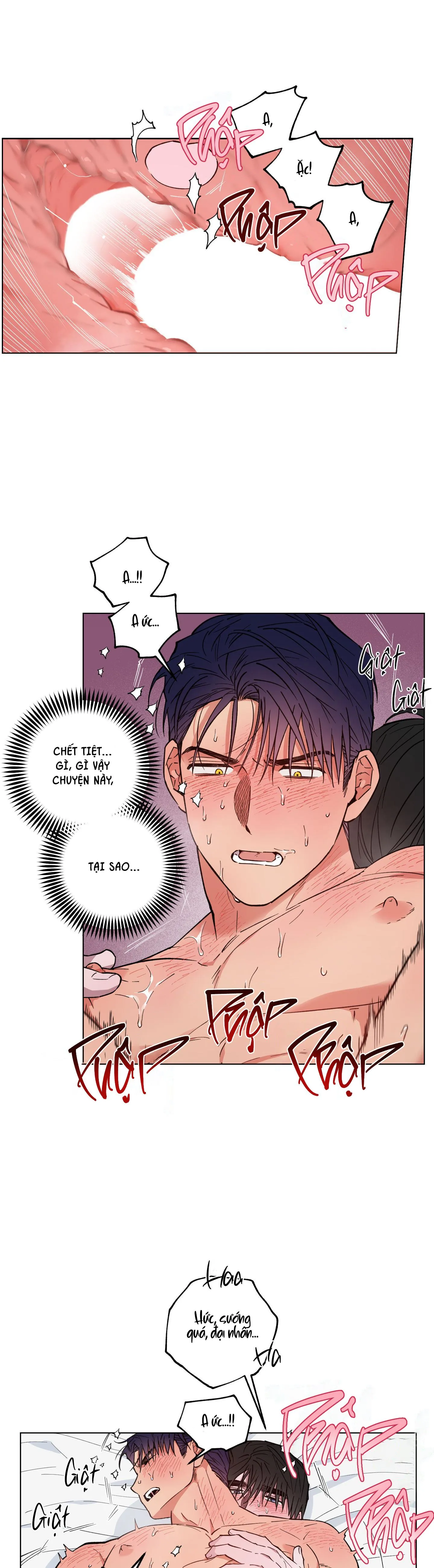 BÌNH MINH CỦA RỒNG Chapter 13 Trang 14