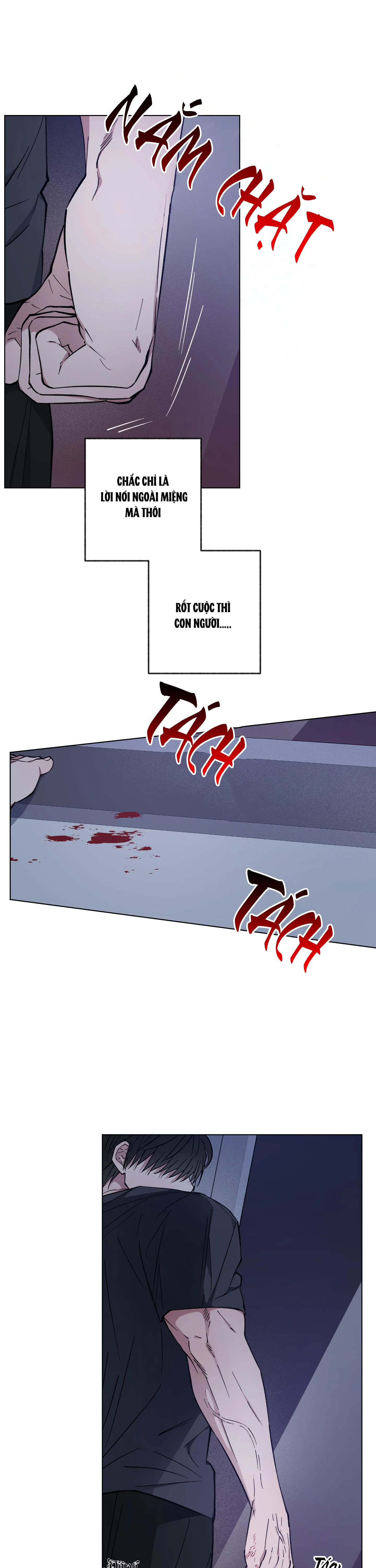 BÌNH MINH CỦA RỒNG Chapter 22 Trang 9