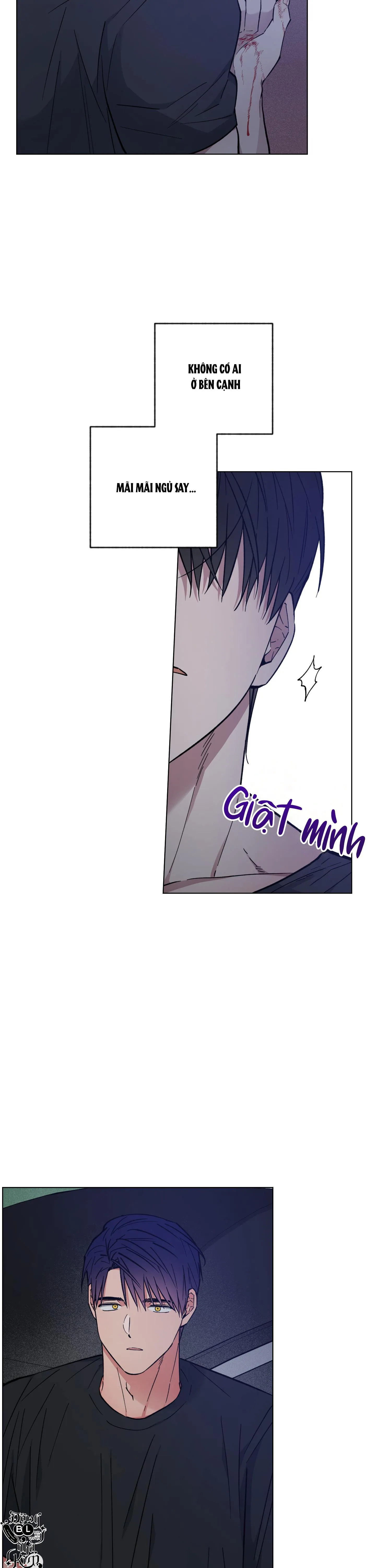 BÌNH MINH CỦA RỒNG Chapter 22 Trang 11