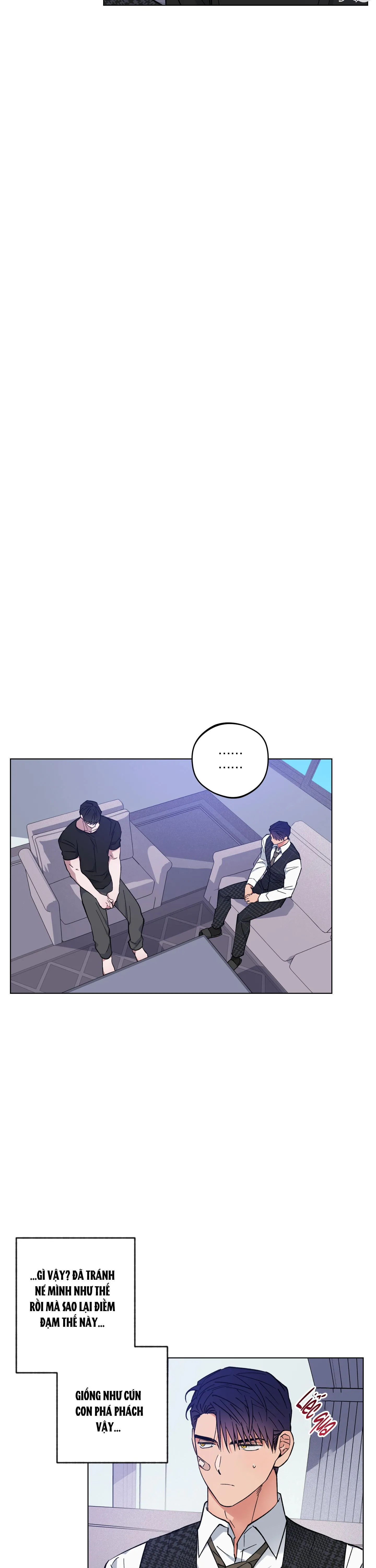 BÌNH MINH CỦA RỒNG Chapter 22 Trang 24